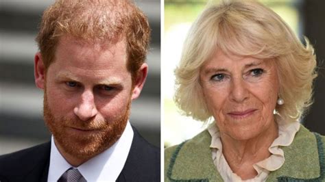 camilla leaks|Prince Harry accuses Camilla of ‘dangerous’ leaks to。